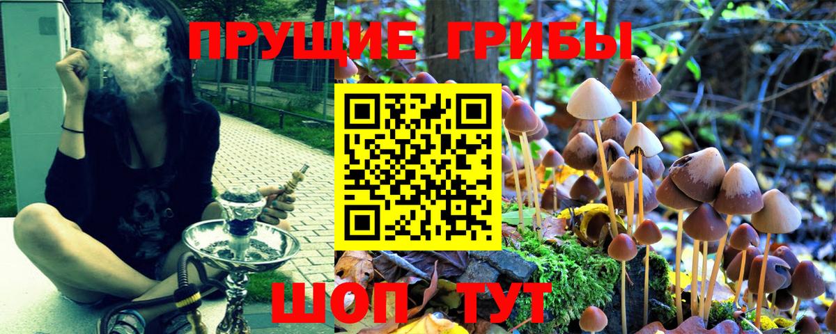 Псилоцибиновые грибы Cubensis  Галлюциногенные грибы Psilocybine cubensis  даркнет сайт  Канаш  Вход с VPN 