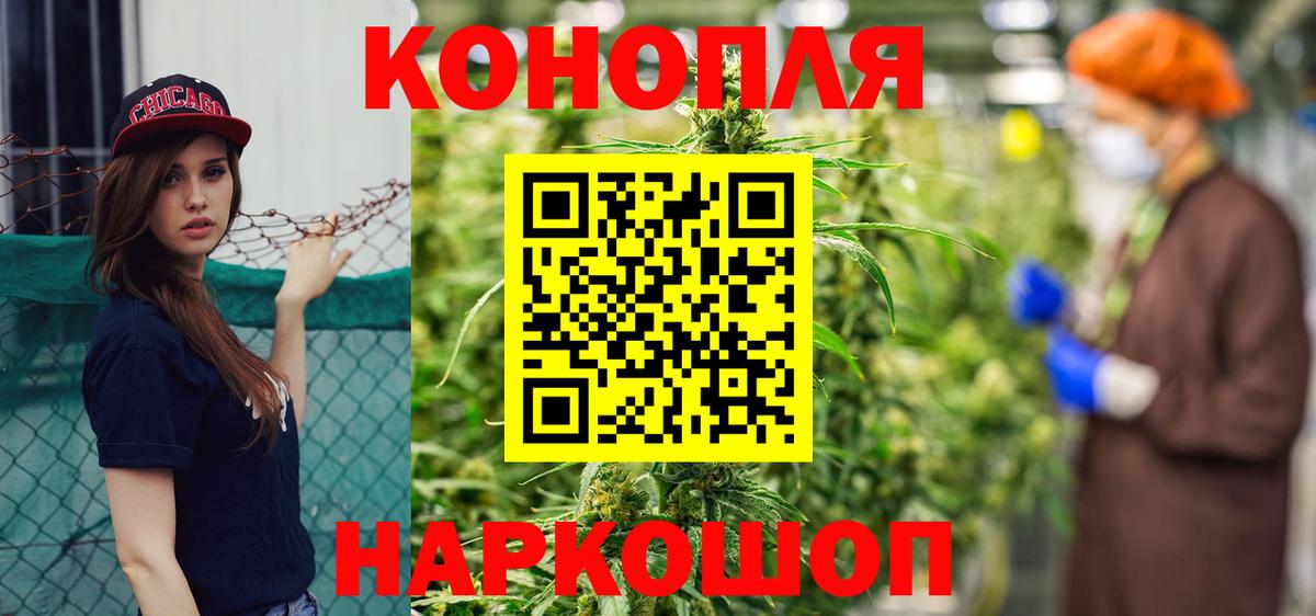 Канаш  Конопля сатива  Конопля тримм  Вход с VPN 